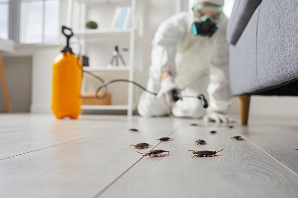 Commercial Kitchen Cockroach Control in Goodland